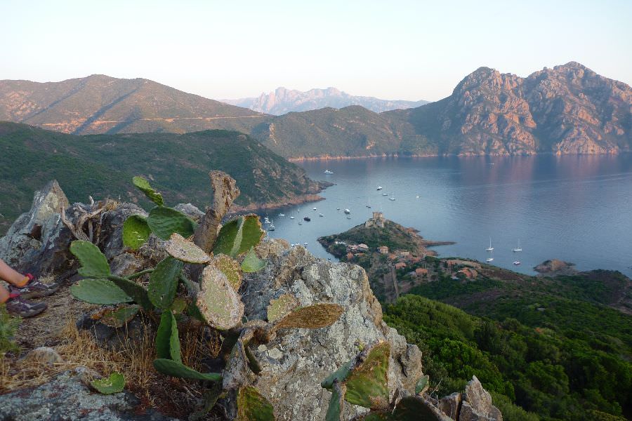 Croisière Corse : circuit Nord