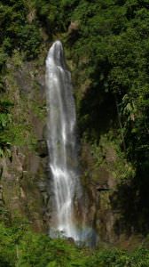 dominique-2008-038