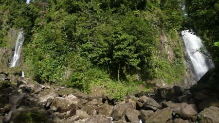 dominique-2008-047