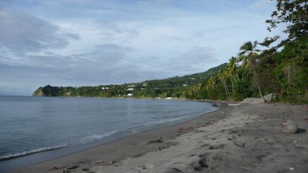 dominique-2008-118