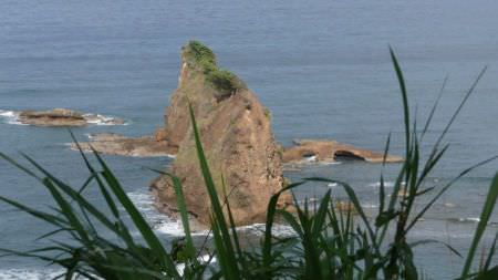dominique-2008-182