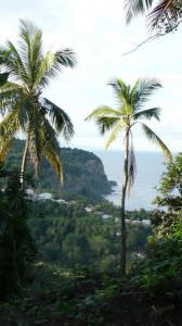dominique-2008-187