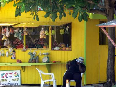 grenadines2008-409