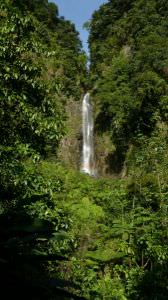 dominique-2008-028