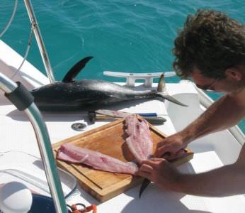 peche5